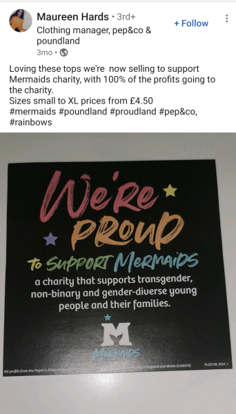 Mermaids being investigated by the charity commission