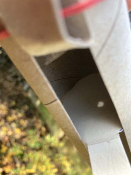Partial solar eclipse