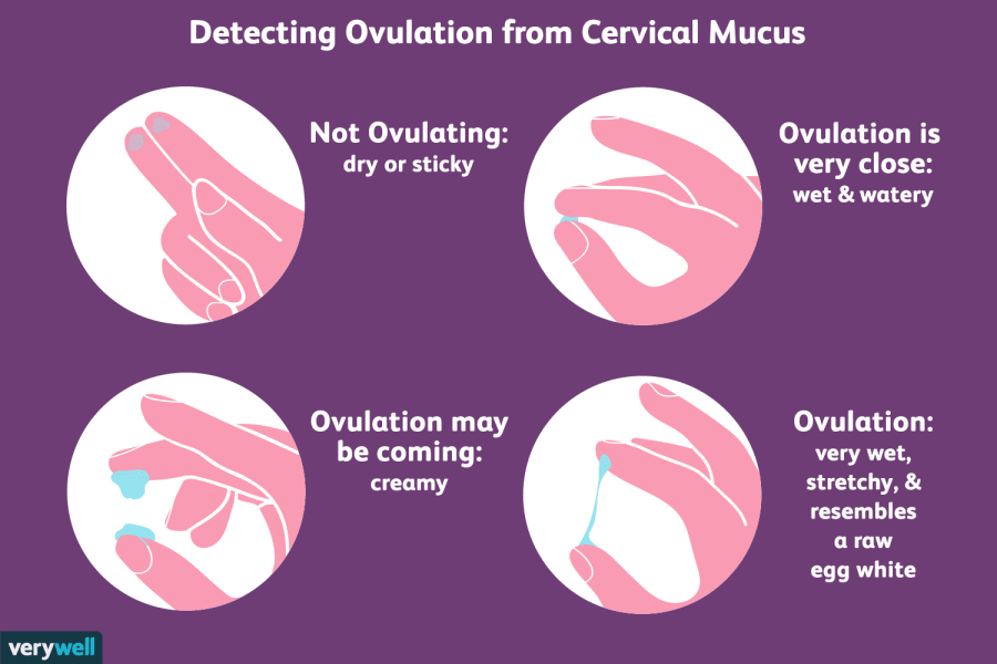 Conception discharge