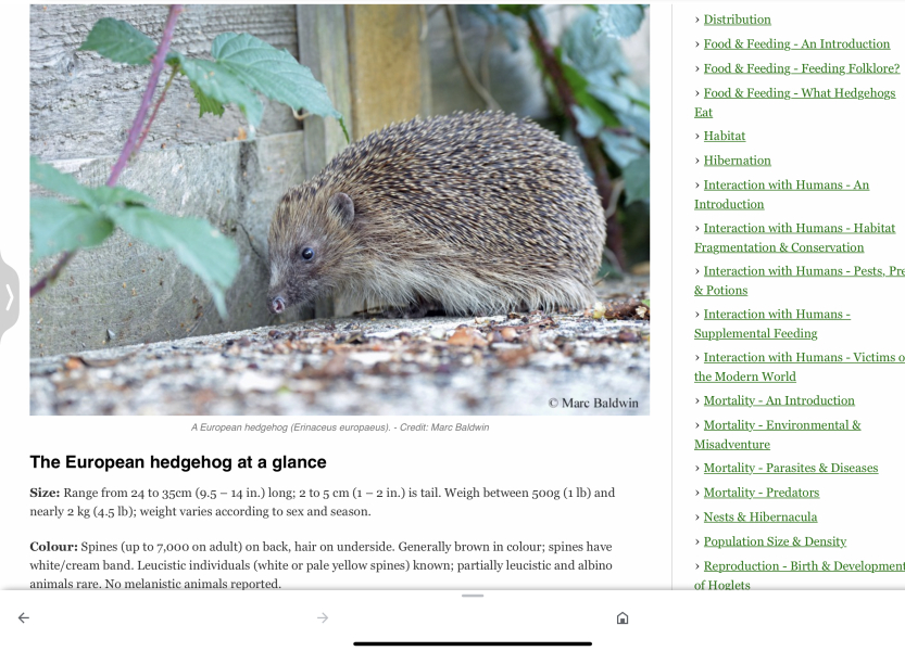 To ask you to please help hedgehogs and other wildlife prepare for winter
