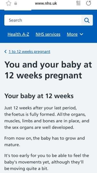 My partner doesn't want me to go through with my pregnancy
