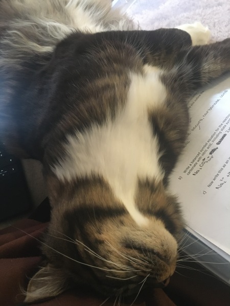 Come and tell me your dull and unexciting news 23: Calmly through the day 