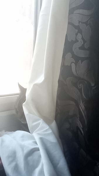 Old Cat.