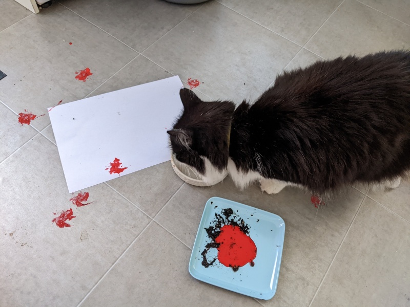 Would fingerprinting the cat be too weird?