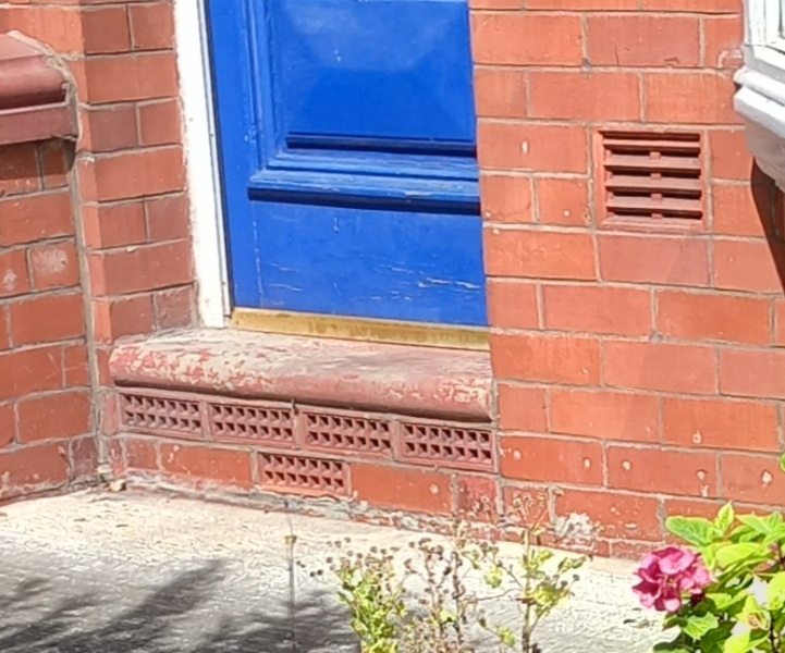 Level 3 RICS survey: rising damp diagnosed, £7,500 to fix?!