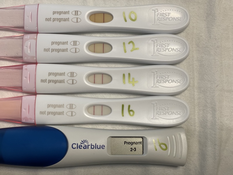 June 2023 Babies 🌞