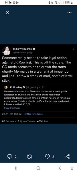 Mermaids being investigated by the charity commission