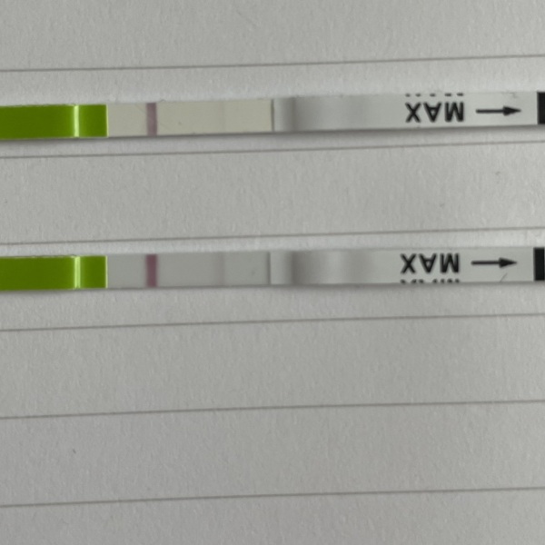 Testing 22/23