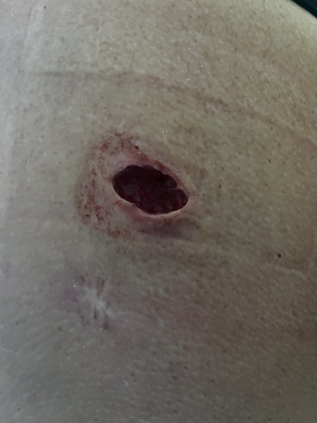 My new friend has gone