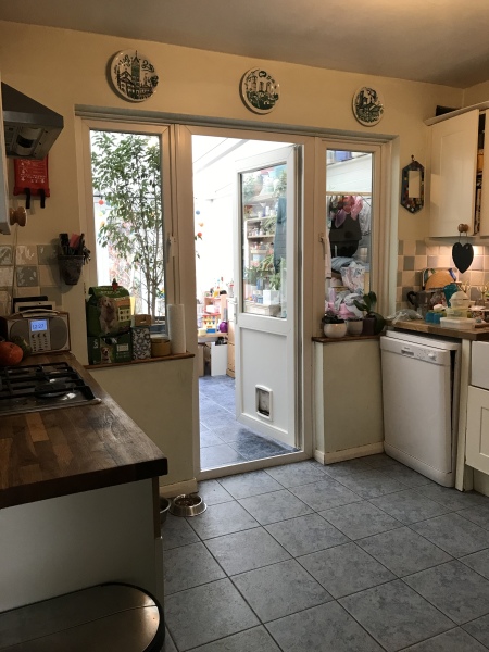 To velux or not to velux? (photo included)