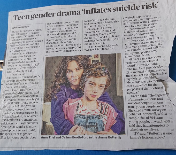 Mermaids being investigated by the charity commission