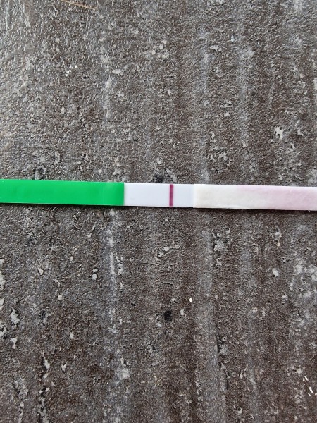 Ttc num 4- faint BFP?