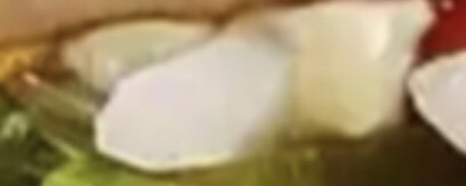 AIBU to be scared of what I found in my McDonald’s (pic 🤢)