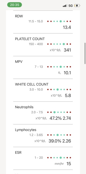 Could someone please help me to understand my blood test results - concerned about cholesterol and thyroid