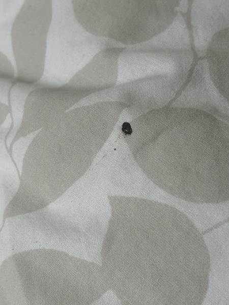 Help! What could this be on my bedding? 