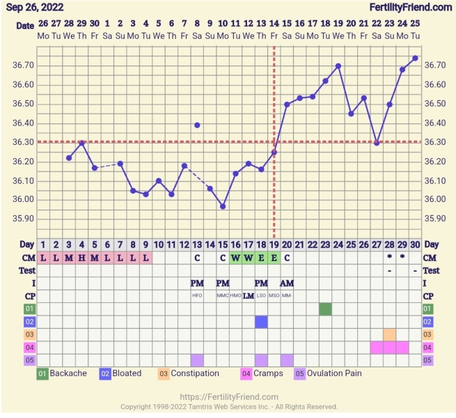 BBT Chart help. 🆘 