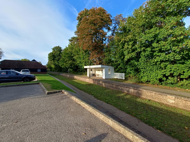 Come chat hiking with me!