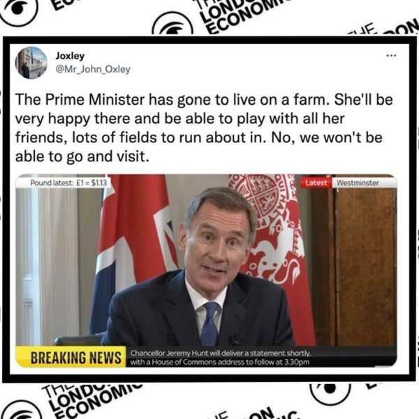 Thread 17:. Big Dog returns?