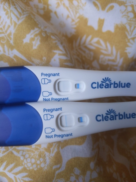 Pregnant straight after miscarraige