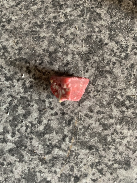 Is this rat/mouse poison i found in my garden?