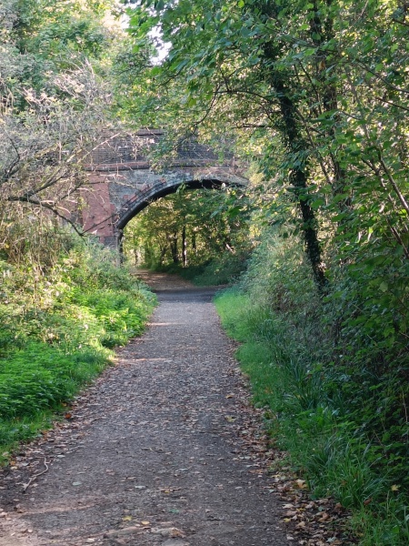 Come chat hiking with me!