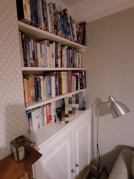 Living room bookshelves