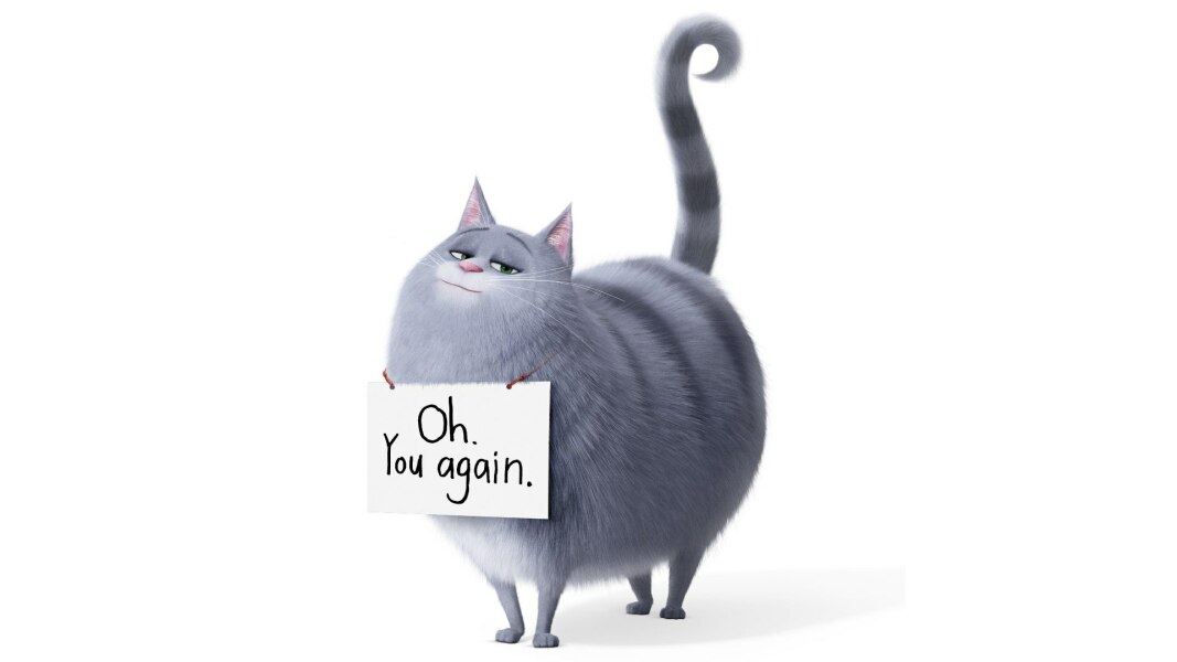 Your cat as an Avatar