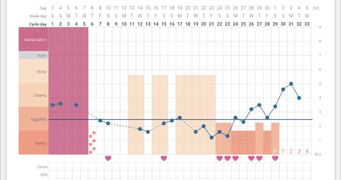 Have I ovulated?