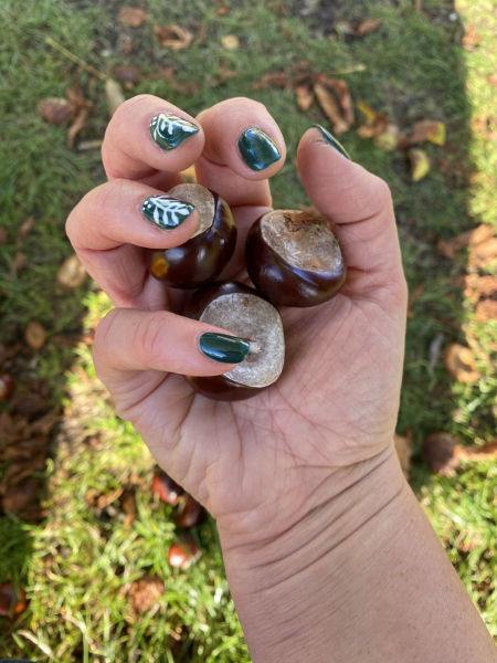 Show me your nails 