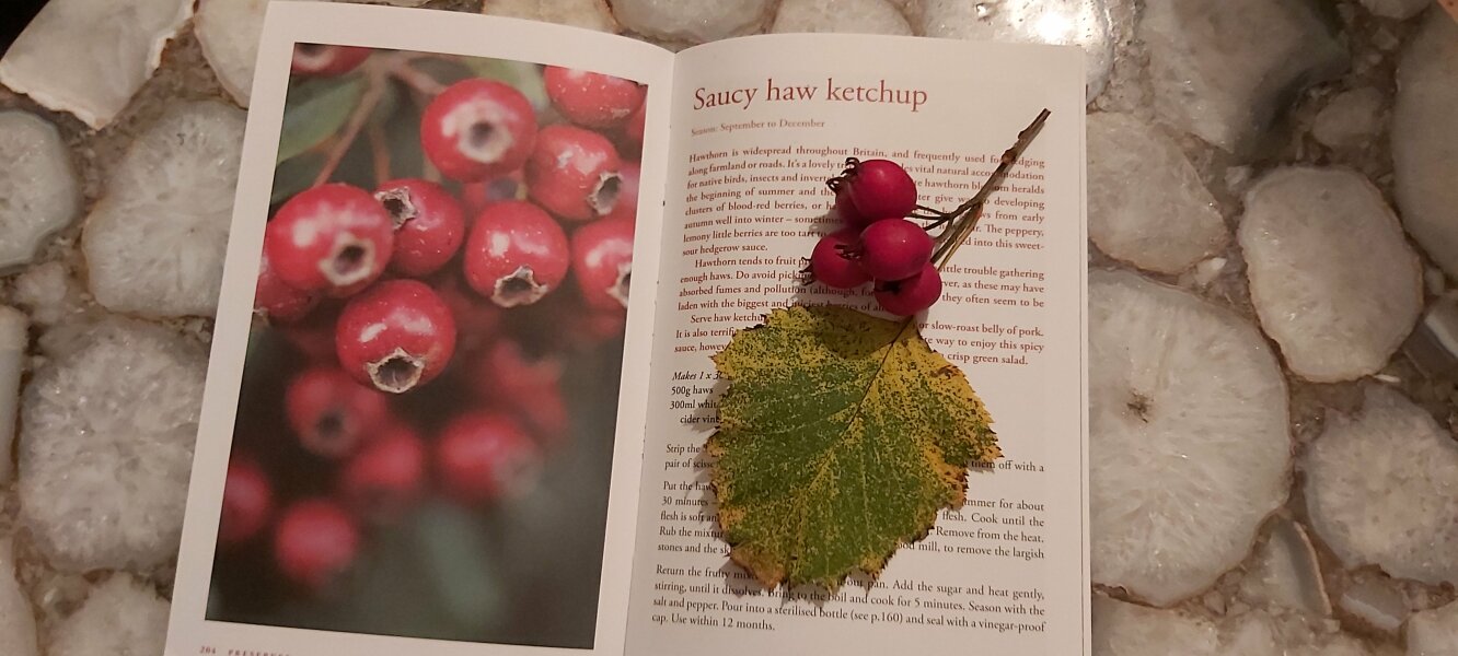 Hidden Treasures - tell me your foraged finds!