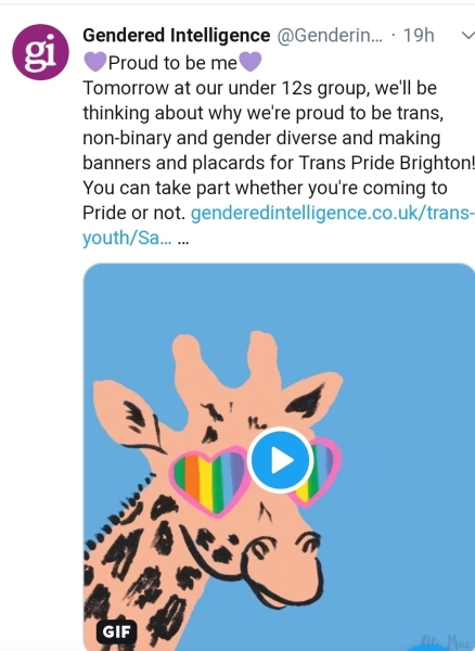 Mermaids being investigated by the charity commission