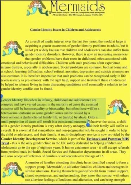 Mermaids being investigated by the charity commission