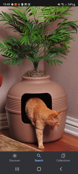 i am such a cat slave.