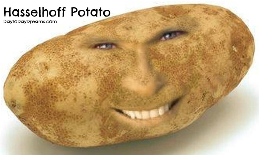 What Is The Best Potato Thing?