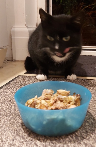 Have I cracked the mumsnet chicken?
