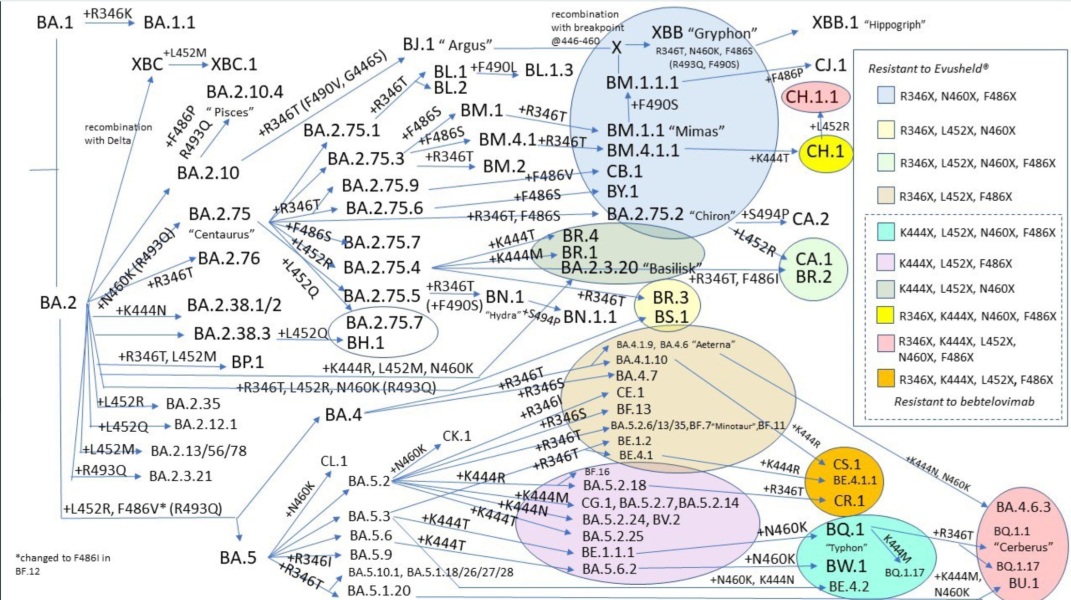 Data & analysis thread, started 9th April 2022