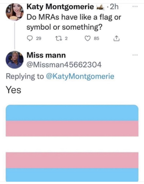 Joules flying the trans flag