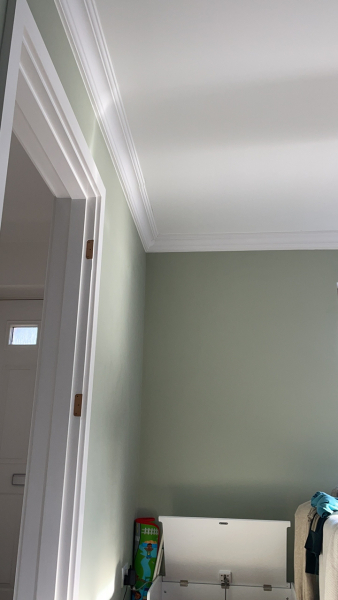 Pale green paint?