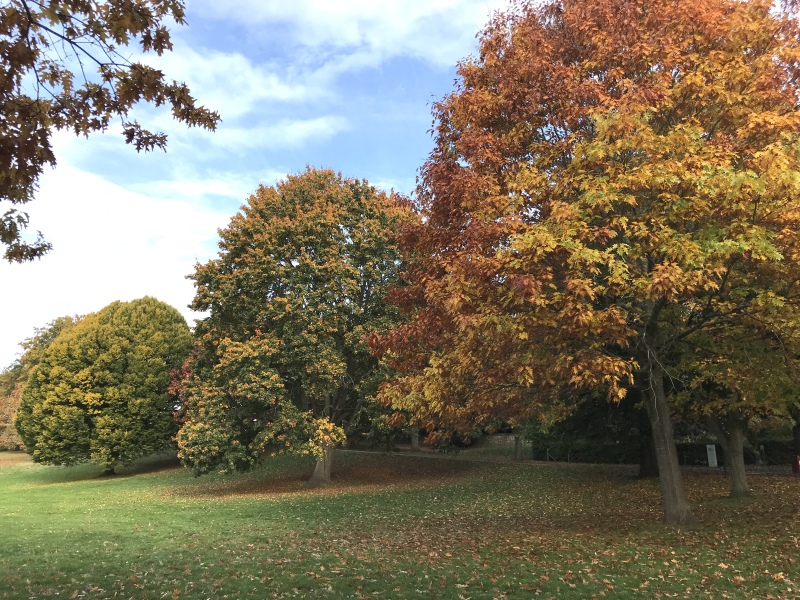 Come and tell me your dull and unexciting news 23: Calmly through the day 