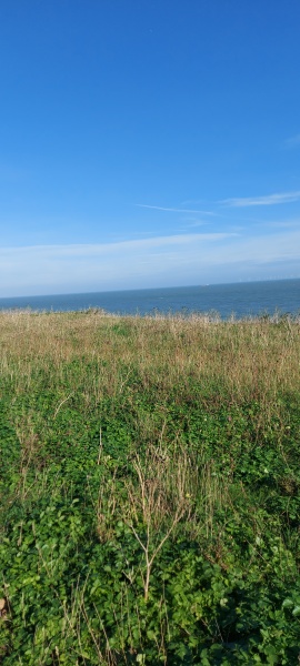 The freedom thread ( continued ) Riding the rollercoaster of an alcohol free life! Alcohol support for those wanting to give up drinking