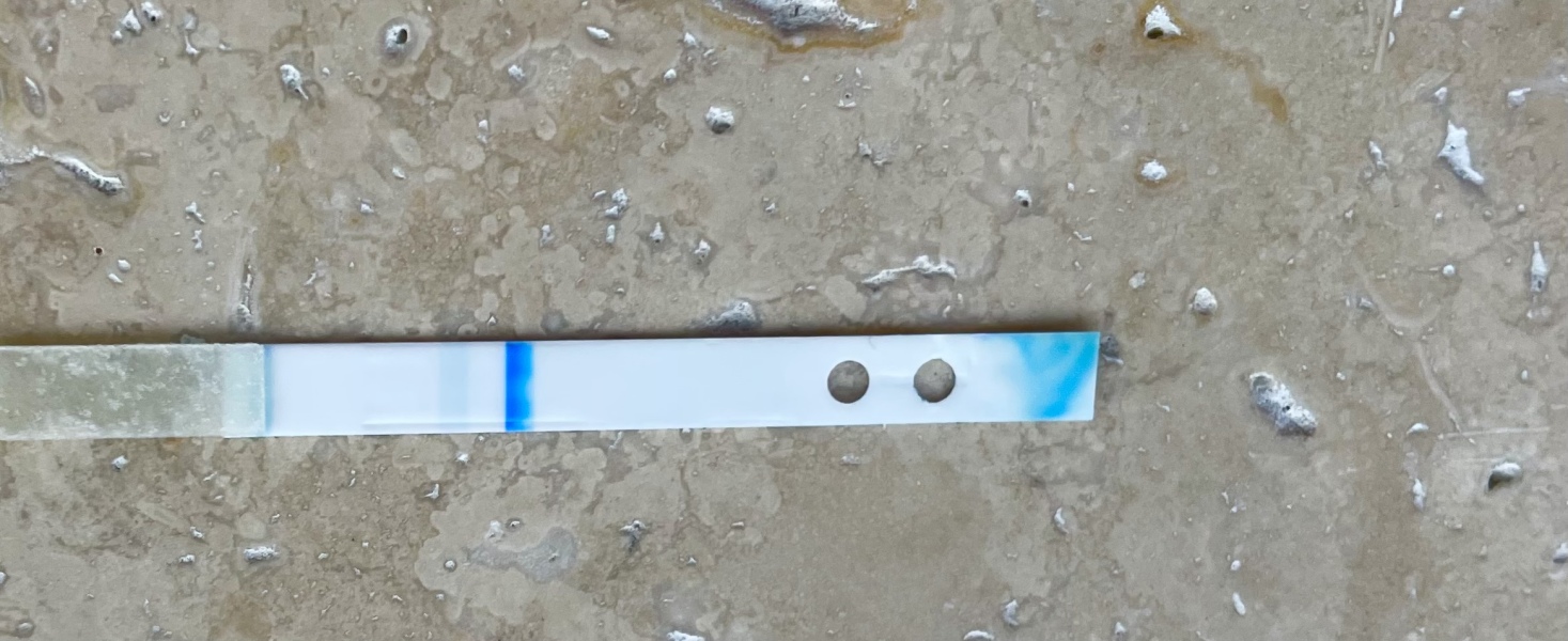 Clear blue digital question 