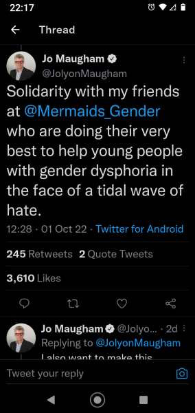 Mermaids being investigated by the charity commission