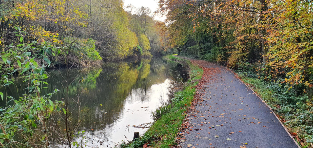 Come and tell me your dull and unexciting news 23: Calmly through the day 