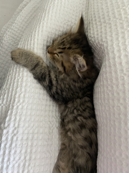 Please find me a name