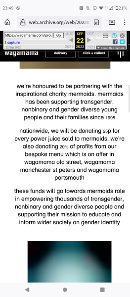 Mermaids being investigated by the charity commission