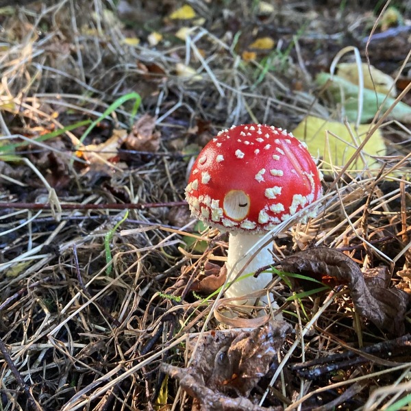 Any Witches Here?- Part 17.