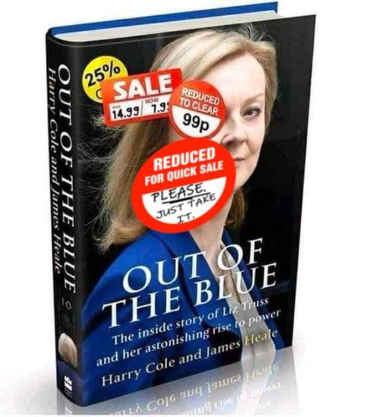 Is there no way to make this country love the Tories again?