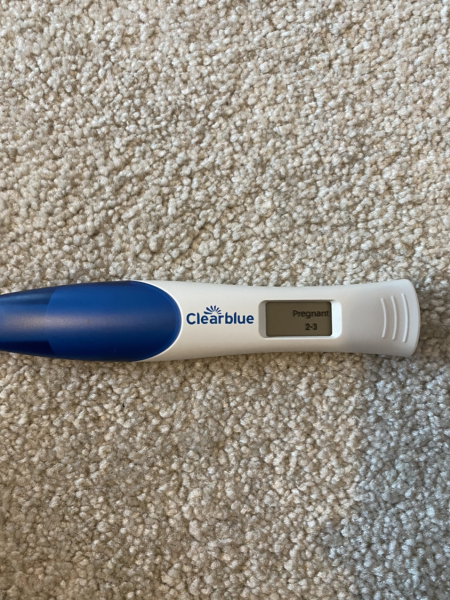 June 2023 Babies 🌞