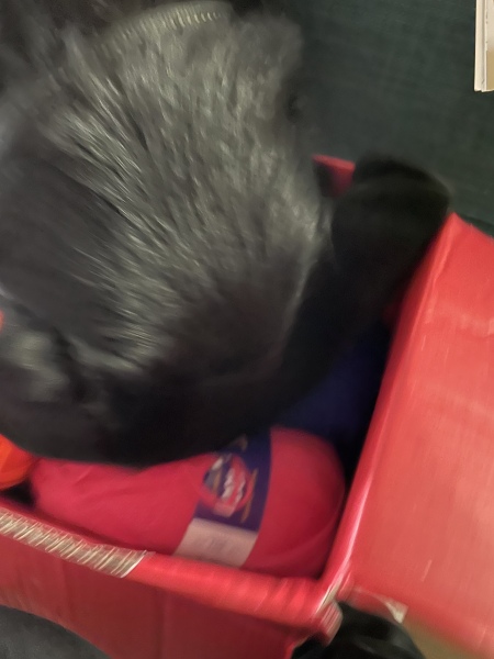 It's Crochet,  Knit & Natter 9: So Many Projects, So Little Time. (Oh well - I almost made it rhyme!)