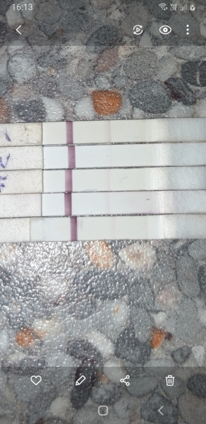 Does progression lines matter ?